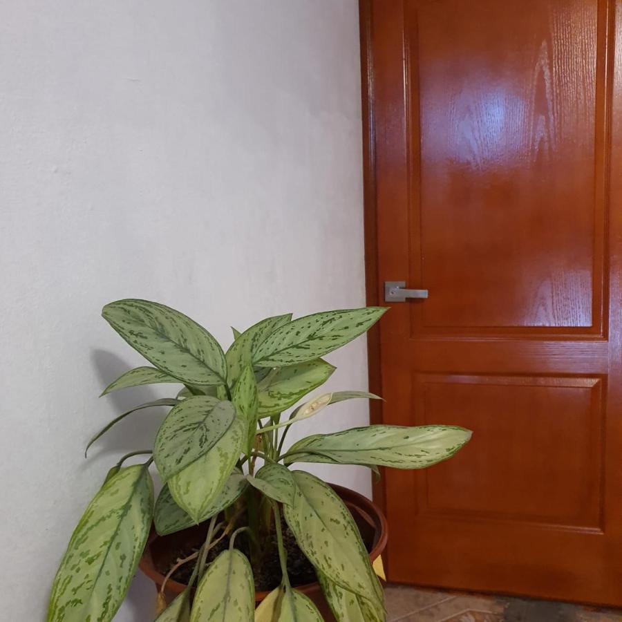 Lima Airport Hostel With Free Airport Pick Up Εξωτερικό φωτογραφία